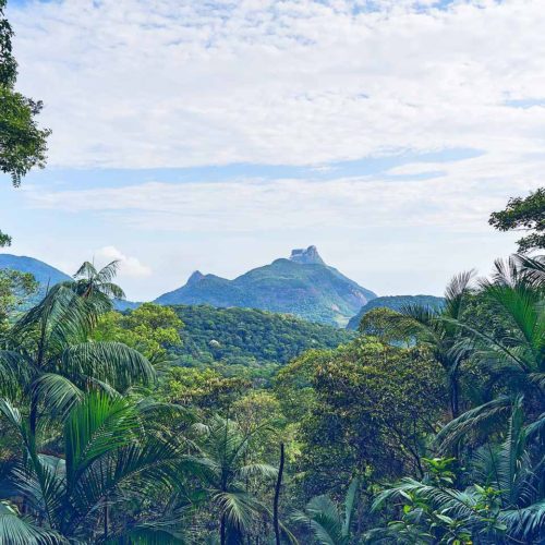 Caminata al Pico da Tijuca