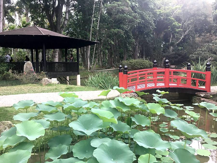 jardín japonés