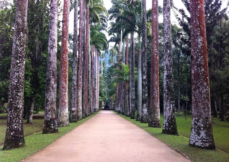 Jardín Botánico de Río