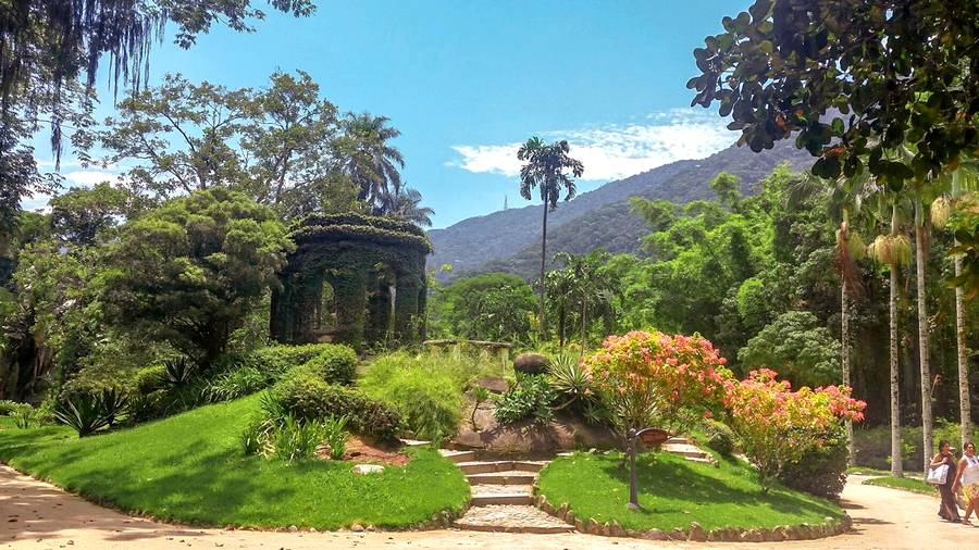 Jardin botanique de Rio