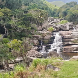 20190502_105442 - Copie (2) - Copie