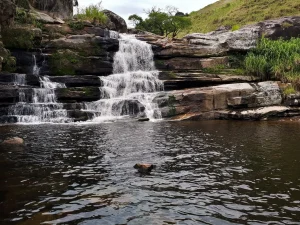 20190502_105835 – Copia – Copia