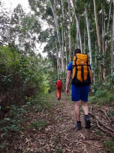 20190503_153144 – Copia – Copia – Copia