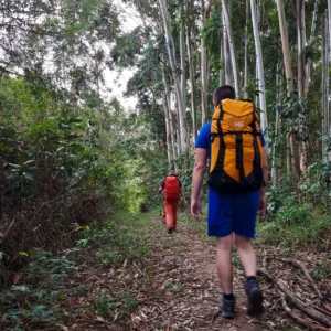 20190503_153144 - Copie - Copie - Copie