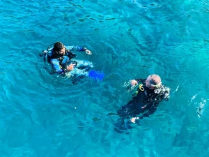 2882B7D6-B2AF-46A2-87AC-5CEA723D34F3