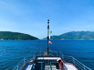 7621A6D7-071C-4C24-98B3-403D830A2F09