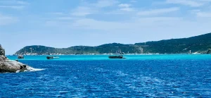 AA478F4C-C881-4440-AB96-161FD6C6A8FF