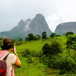 Copie-d'alice_107 - Copia (2) - Copia