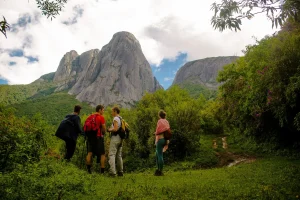 Copy-of-alice_118 – Copia – Copia