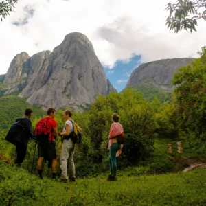 Copie-d'alice_118 - Copia - Copia