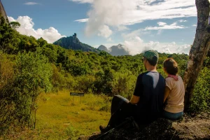 Copy-of-alice_128 – Copia (2) – Copia