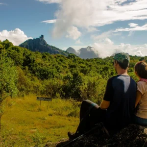 Copie-d'alice_128 - Copia (2) - Copia