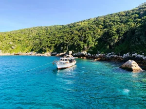 DE052093-5004-4152-B450-C3C761D76058