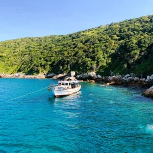 DE052093-5004-4152-B450-C3C761D76058