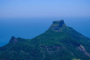 Pico da Tijuca Hike in Rio de Janeiro