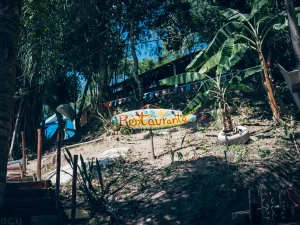 HEY_BRO_20181214_RIO_PHBR1426_HD