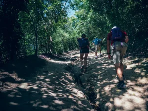 HEY_BRO_20181214_RIO_PHBR1432_HD