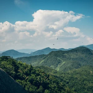 HEY_BRO_20181214_RIO_PHBR1562_HD