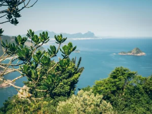 HEY_BRO_20181214_RIO_PHBR1732_HD