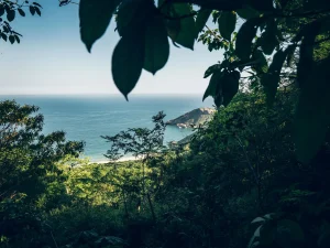 HEY_BRO_20181214_RIO_PHBR1744_HD