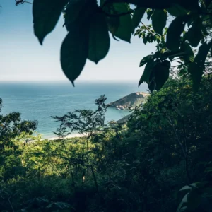 HEY_BRO_20181214_RIO_PHBR1744_HD