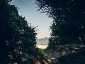 HEY_BRO_20181214_RIO_PHBR1773_HD