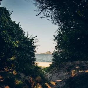 HEY_BRO_20181214_RIO_PHBR1773_HD