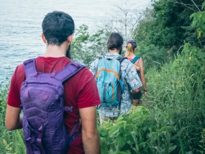 HEY_BRO_20181214_RIO_PHBR1820_HD