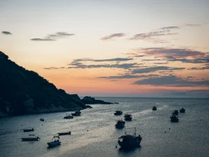 HEY_BRO_20181214_RIO_PHBR1891_HD