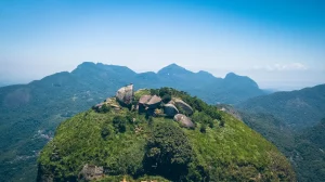 HEY_BRO_20181217_RIO_DJI_0782_HD