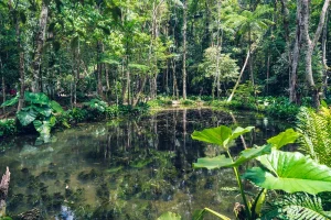 HEY_BRO_20181222_RIO_DSC00345_HD