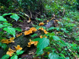 IMG_5532 – Copia – Copia