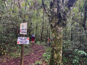 IMG_5541 – Copia – Copia