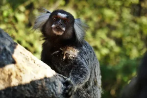 Photo-Jun-18,-23-49-39