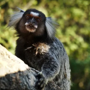 Photo-Jun-18,-23-49-39