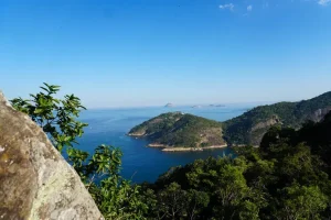 Photo-Jun-21,-15-25-16