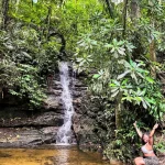 Tijuca-7