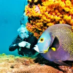 scuba_edited1