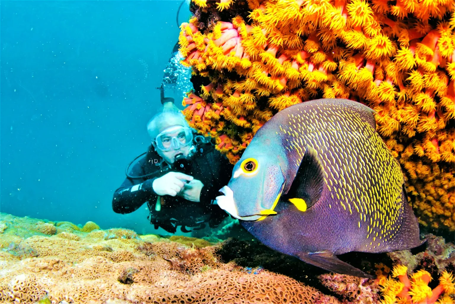 scuba_edited1