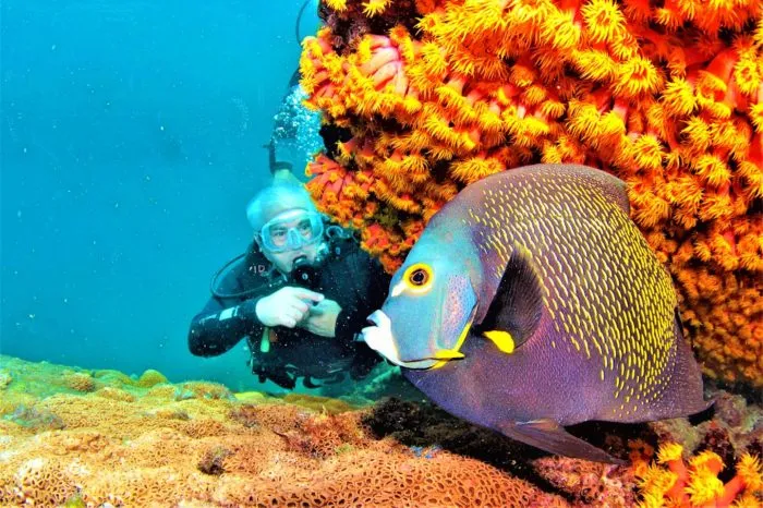 Buceo en Río de Janeiro